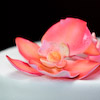 weddings_233